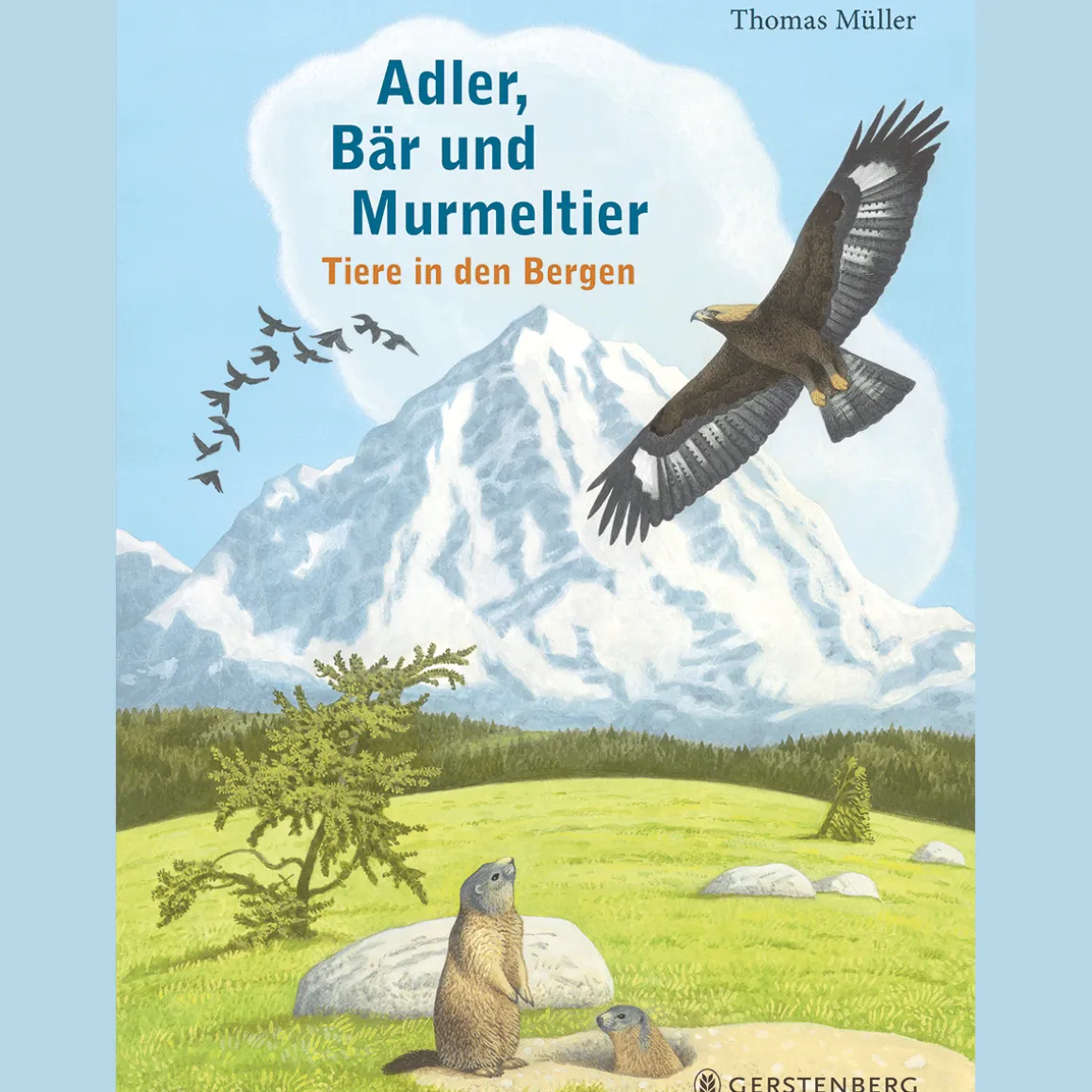 Adler, Bär und Murmeltier: Tiere in den Bergen.