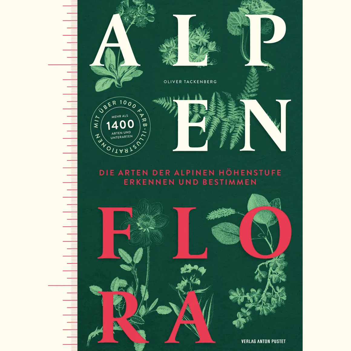 Alpenflora. Die Arten der alpinen Höhenstufe erkennen und bestimmen.