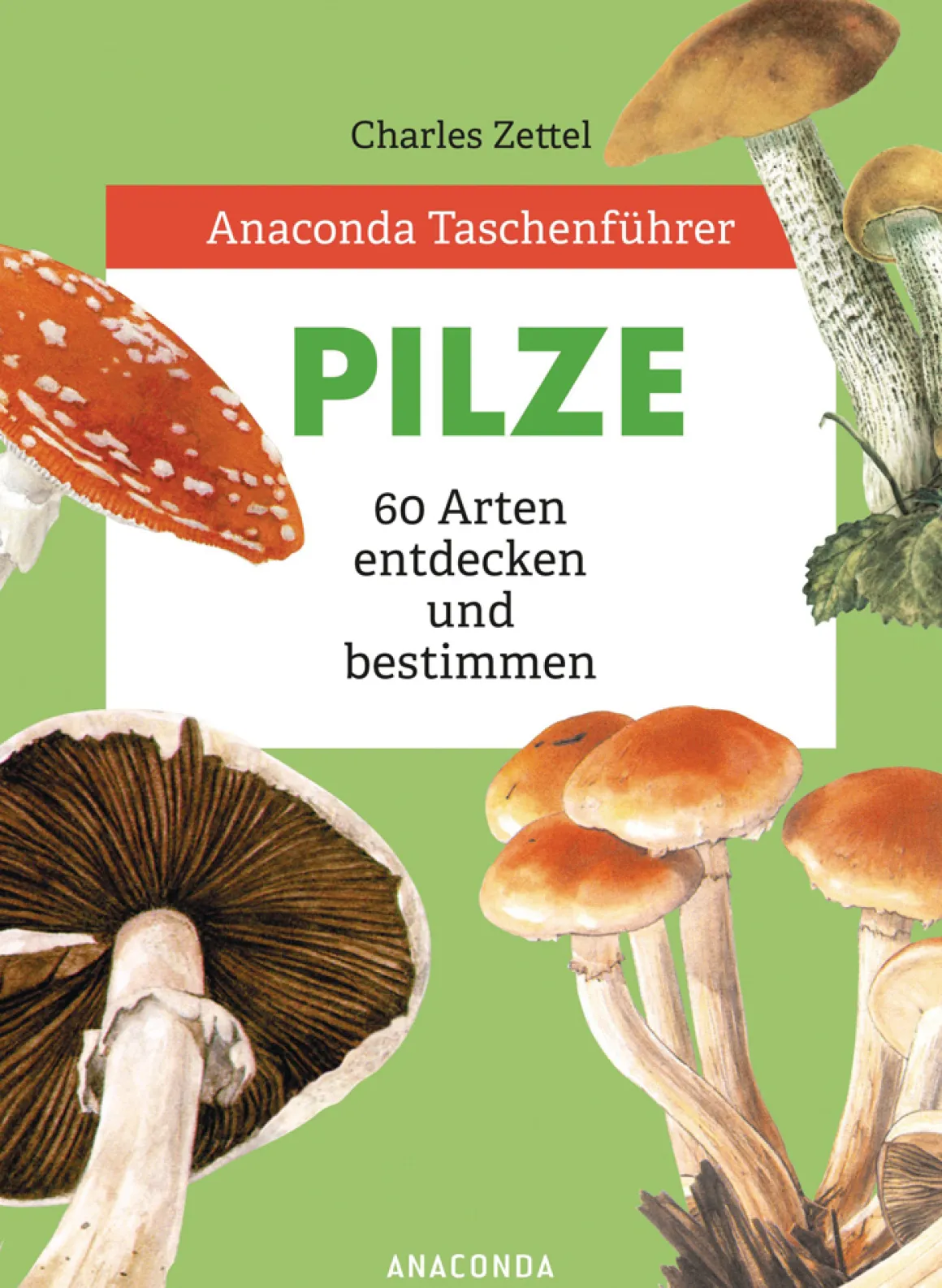 Anaconda Taschenführer Pilze. 60 Arten entdecken und bestimmen.