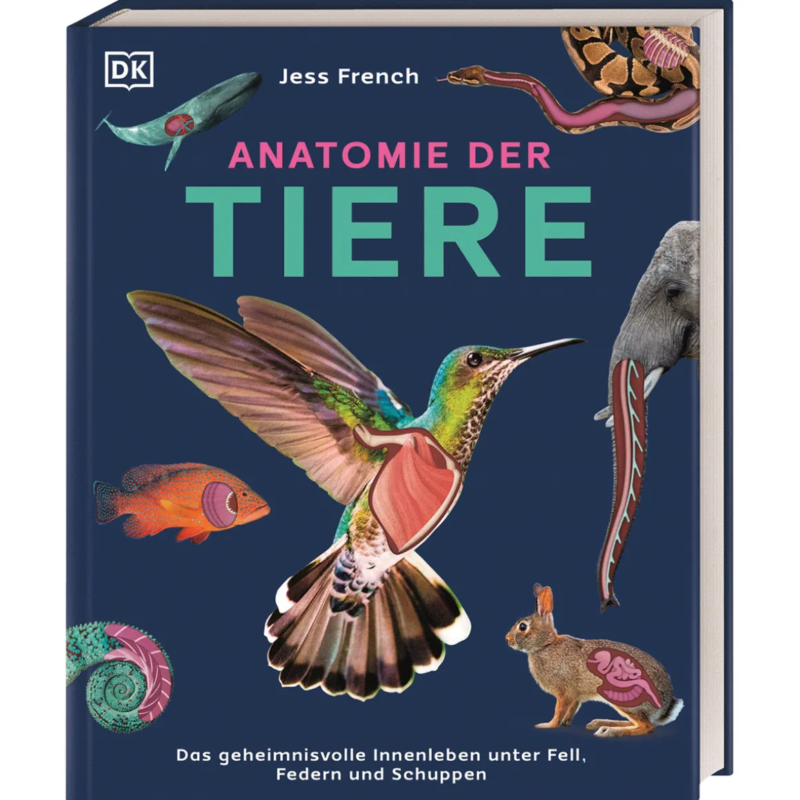 Anatomie der Tiere. Das geheimnisvolle Innenleben unter Fell, Federn und Schuppen.