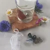 »AquaViva«-Set zur Wasseraufbereitung. Nervensystem.