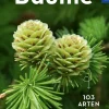 Basic Bäume.