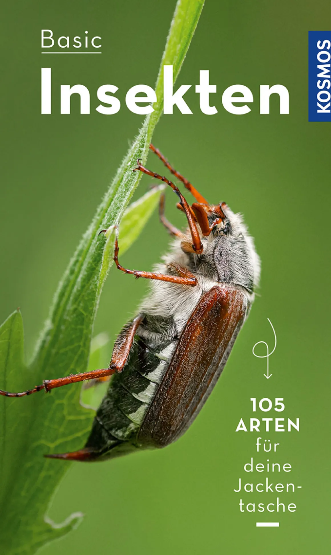 Basic Insekten.