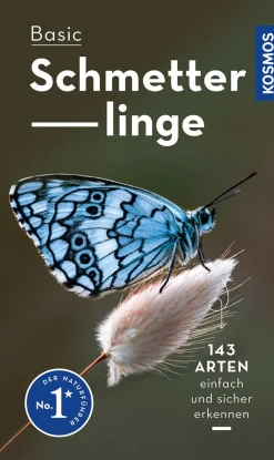 Basic Schmetterlinge.
