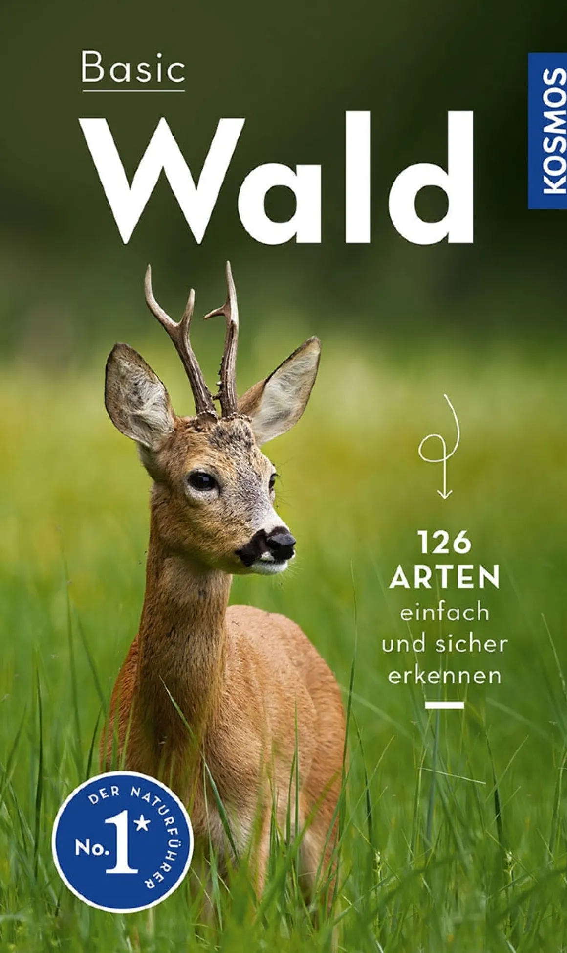 Basic Wald.