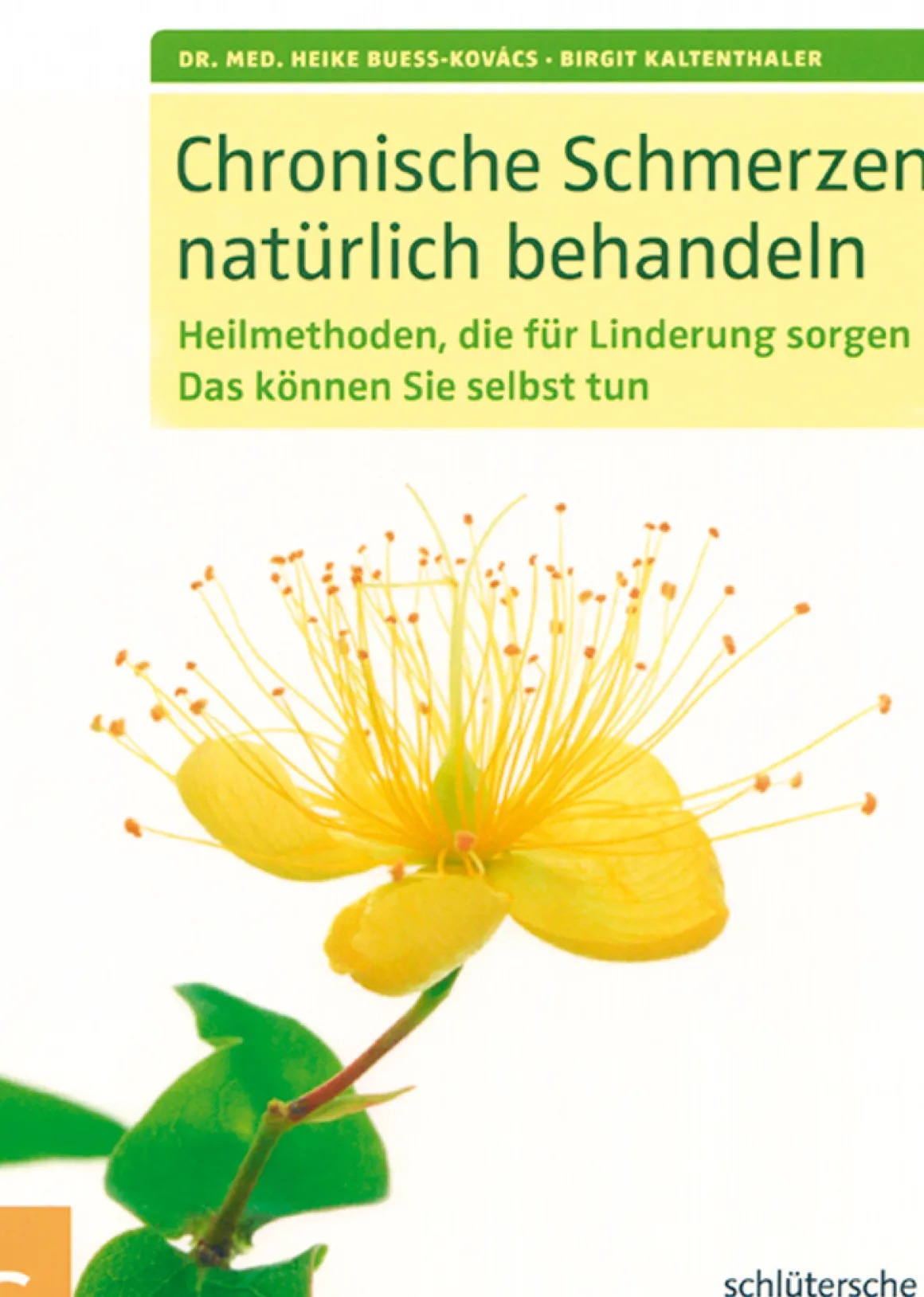 Chronische Schmerzen natürlich behandeln