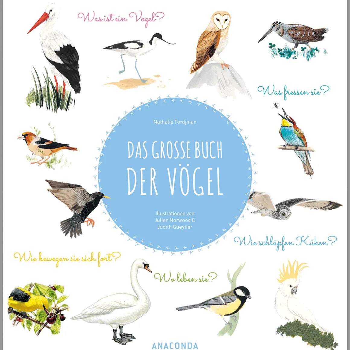 Das große Buch der Vögel: Wunderschön illustriertes Kindersachbuch ab 7 Jahren. Was ist ein Vogel? Was fressen sie? Wie schlüpfen Küken? Wo leben sie? Wie bewegen sie sich fort?.