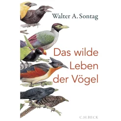 Das wilde Leben der Vögel. Von Nachtschwärmern, Kuckuckskindern und leidenschaftlichen Sängern.