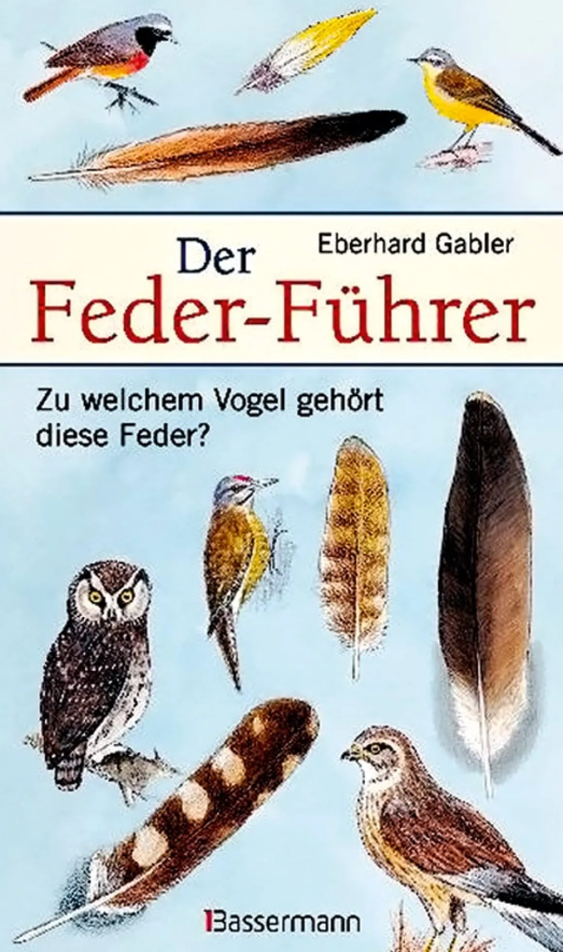 Der Feder-Führer. Zu welchem Vogel gehört diese Feder?