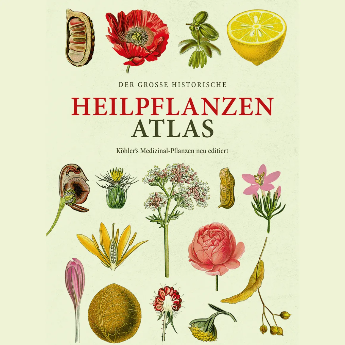 Der große Heilpflanzen-Atlas. Köhlers Medizinal-Pflanzen. Neu editiert.