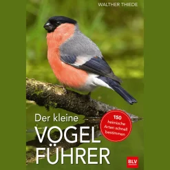 Der kleine Vogelführer.
