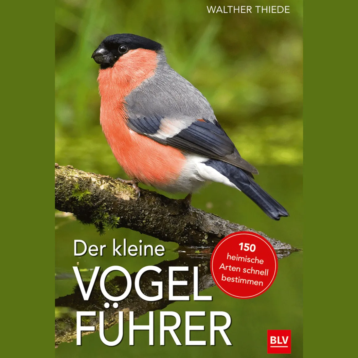 Der kleine Vogelführer.