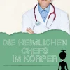 Die heimlichen Chefs im Körper