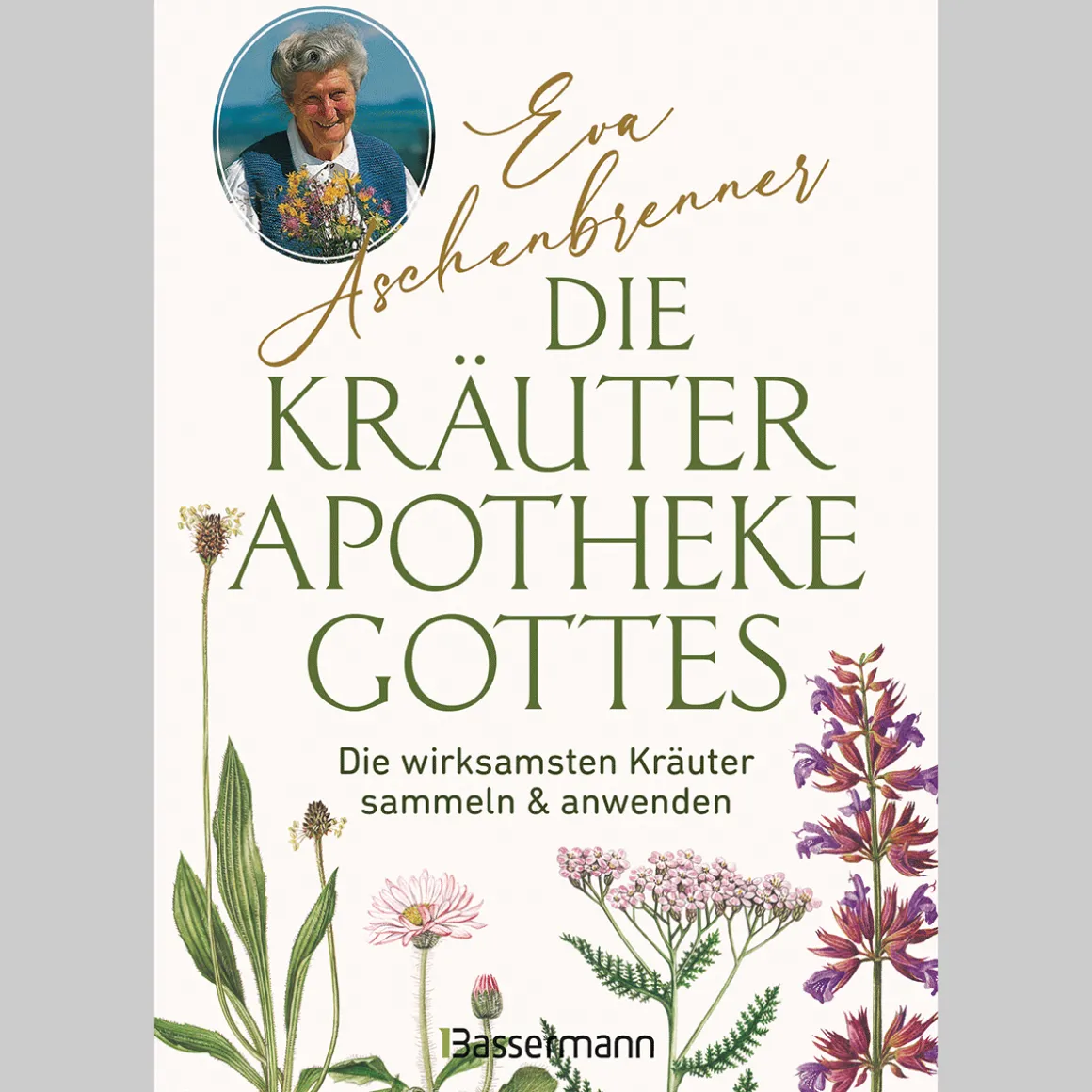 Die Kräuterapotheke Gottes. Die wirksamsten Kräuter sammeln und anwenden.