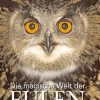 Die magische Welt der Eulen.
