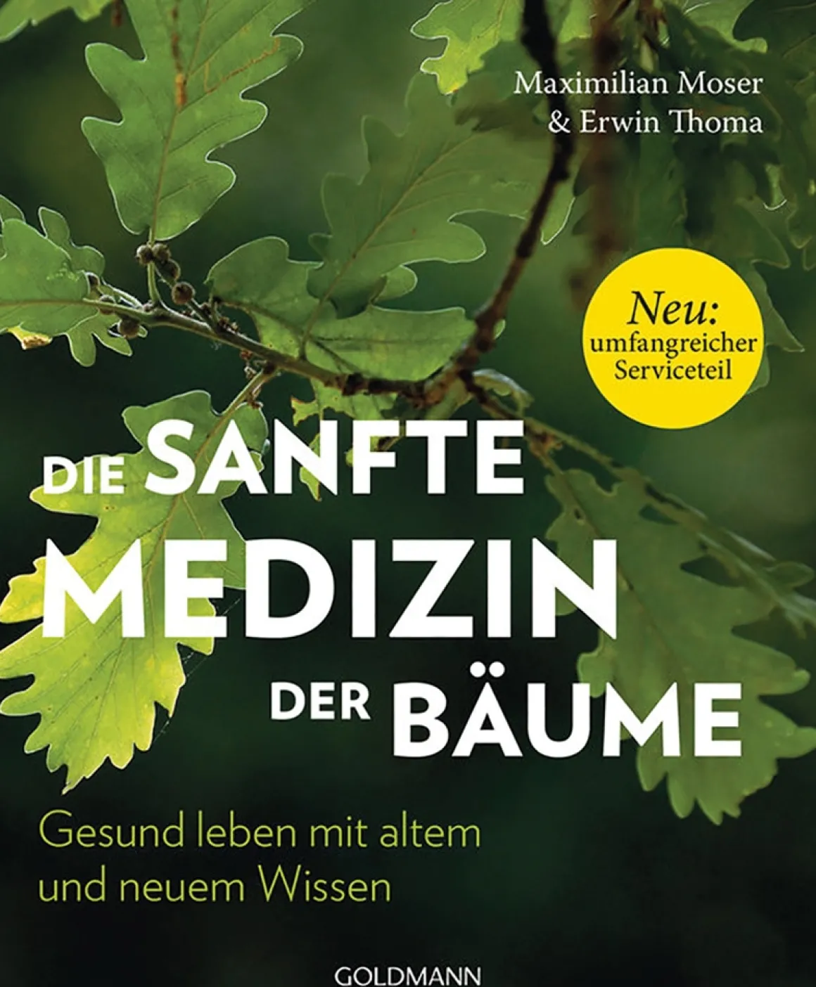 Die sanfte Medizin der Bäume