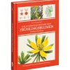 Die schönsten heimischen Frühlingsblumen erkennen und bestimmen.