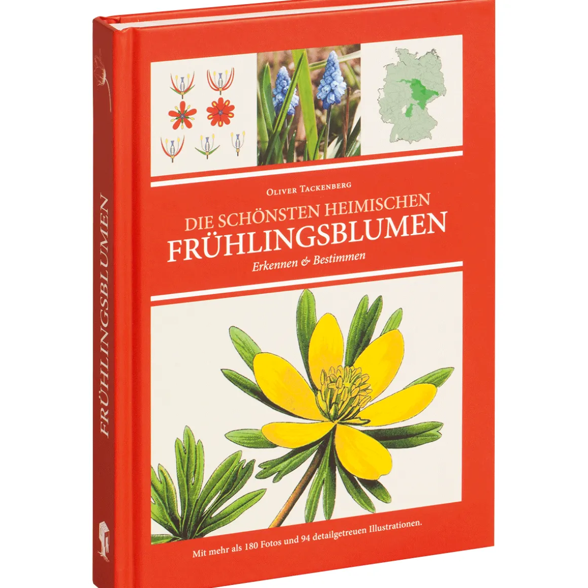 Die schönsten heimischen Frühlingsblumen erkennen und bestimmen.