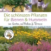 Die schönsten Pflanzen für Bienen und Hummeln.