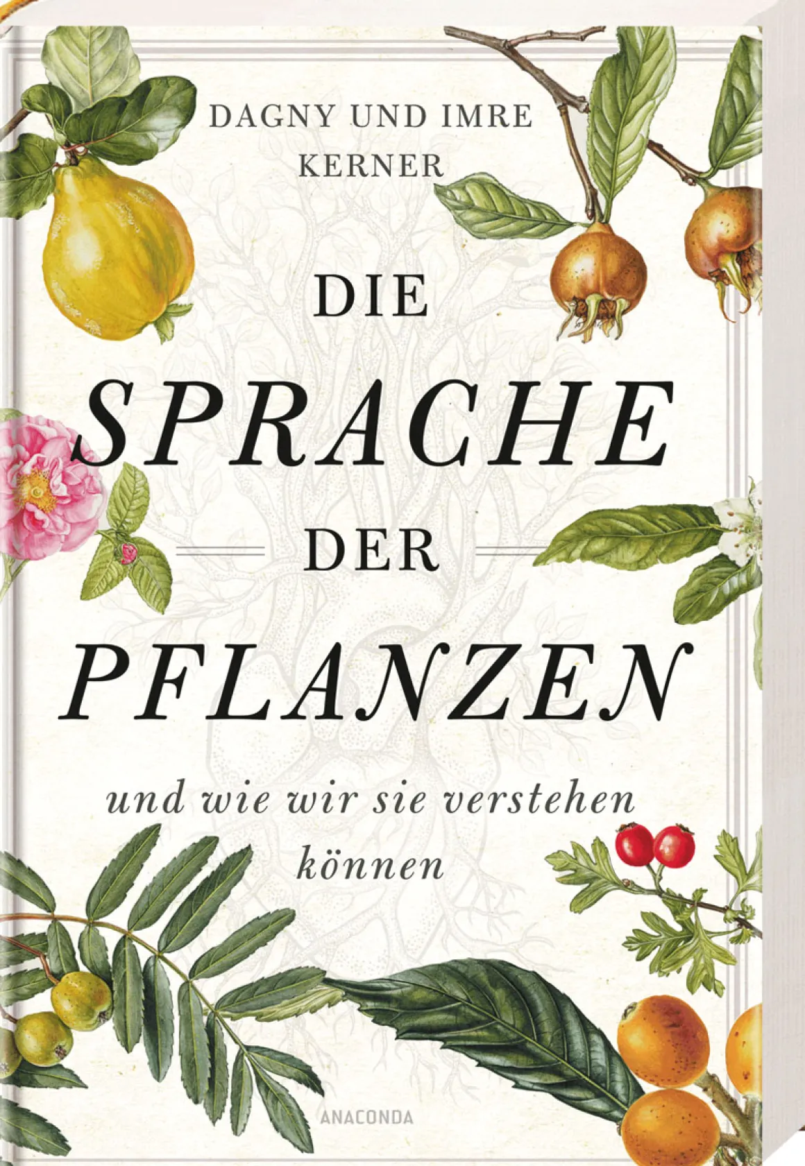 Die Sprache der Pflanzen ... und wie wir sie verstehen können.