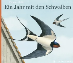 Ein Jahr mit den Schwalben.