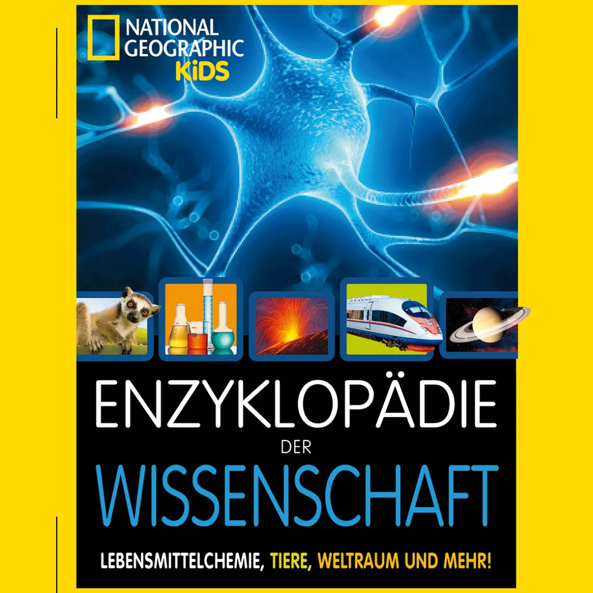 Enzyklopädie der Wissenschaft. Atomspaltung, Lebensmittelchemie, Tiere, Weltraum und mehr!