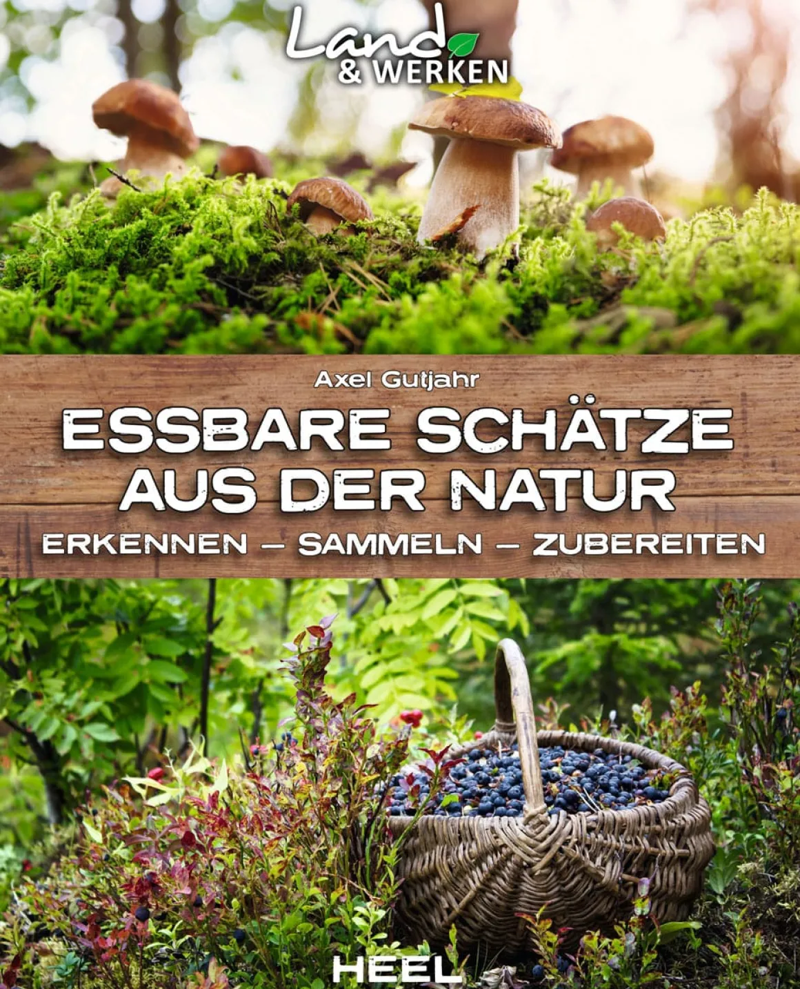 Essbare Schätze aus der Natur. Erkennen, Sammeln, Zubereiten.