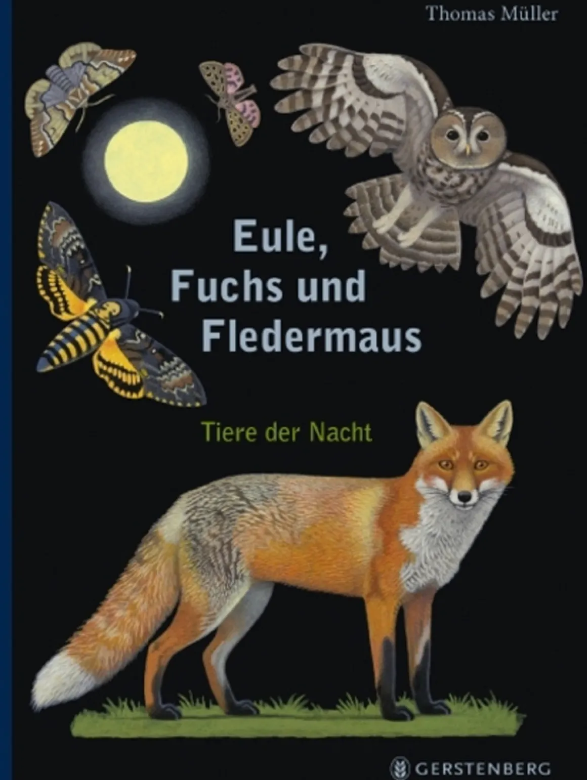 Eule, Fuchs und Fledermaus. Tiere der Nacht.