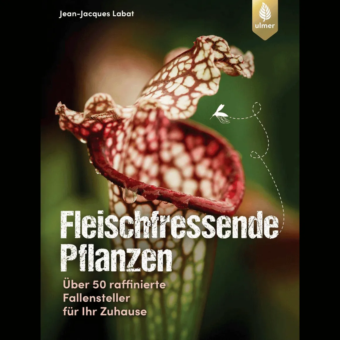 Fleischfressende Pflanzen. Über 50 raffinierte Fallensteller für Ihr Zuhause.