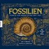 Fossilien – Schätze von Ammoniten bis zum T. Rex. Mit Fossilien zum Fühlen.