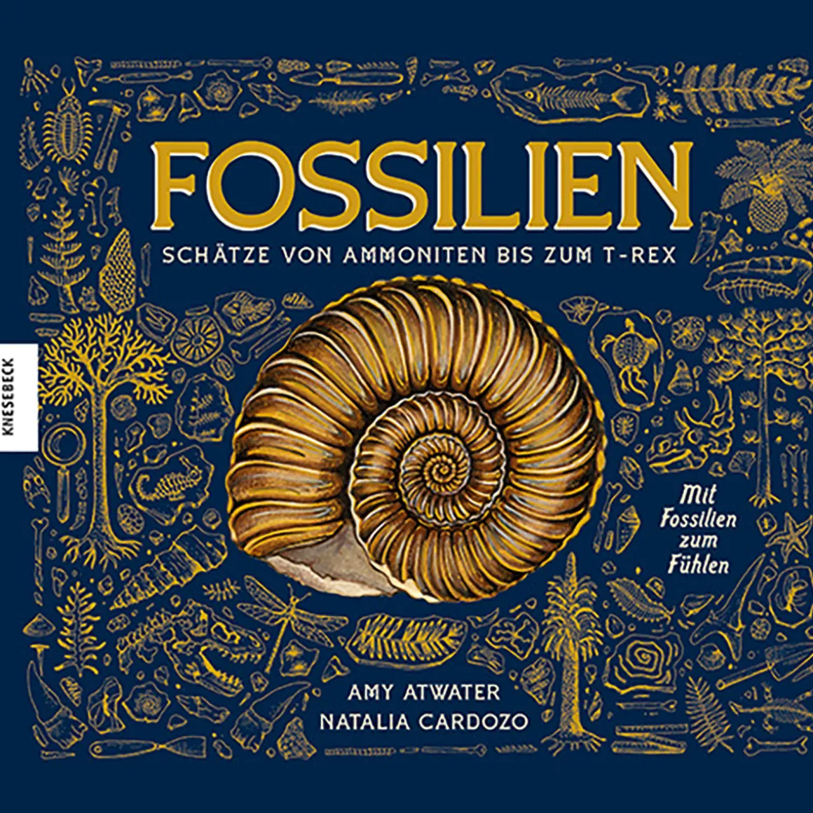 Fossilien – Schätze von Ammoniten bis zum T. Rex. Mit Fossilien zum Fühlen.