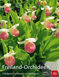 Freiland-Orchideen. Erfolgreich pflanzen und pflegen.