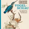 Große Vogelschau. Von Luftakrobaten, Überfliegern und Krachmachern.