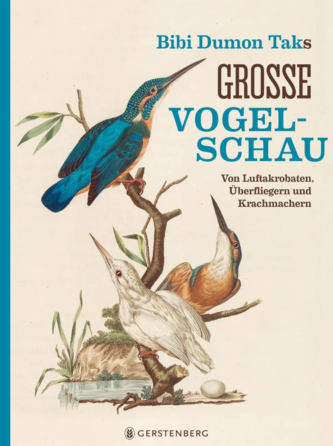 Große Vogelschau. Von Luftakrobaten, Überfliegern und Krachmachern.