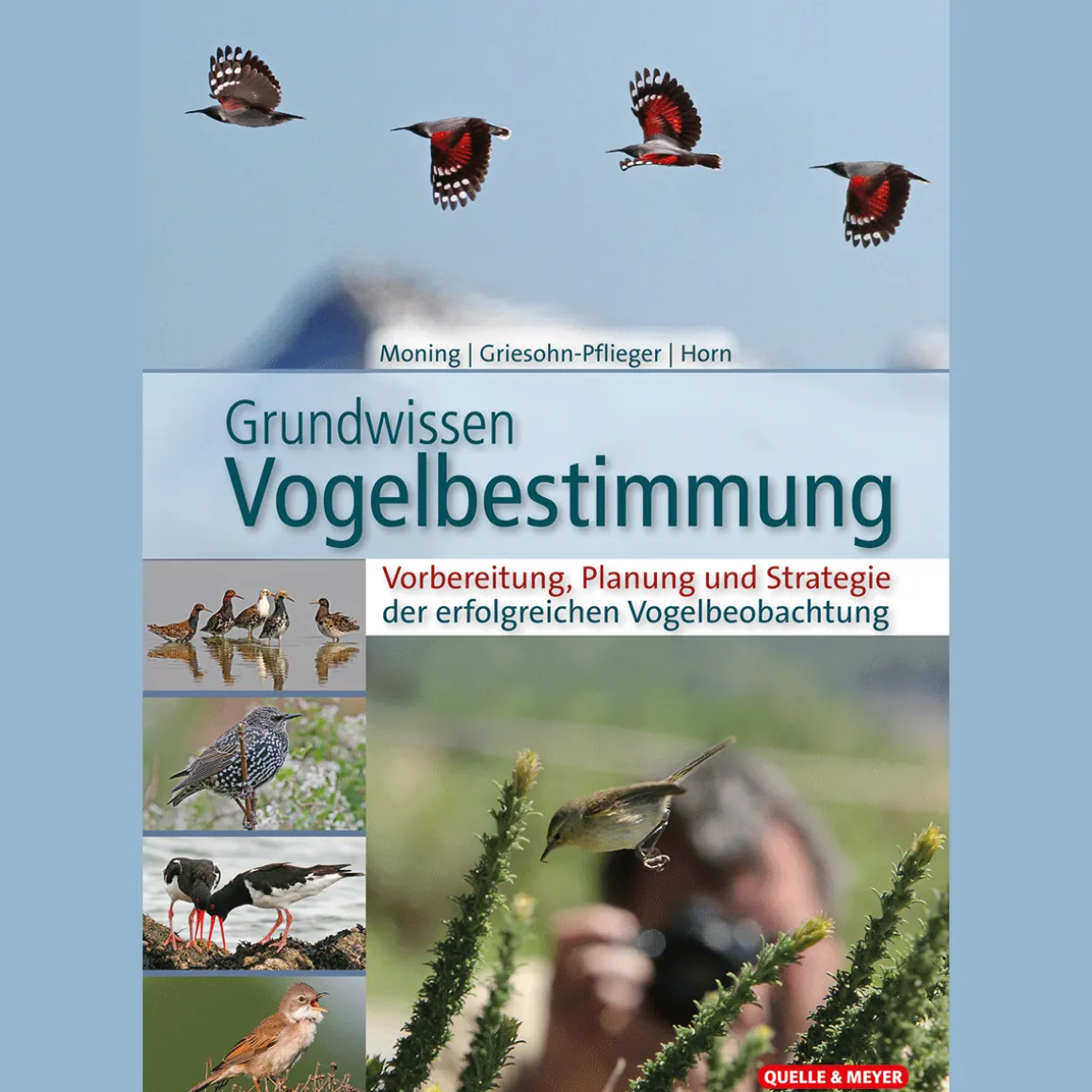 Grundkurs Vogelbestimmung. Vorbereitung, Planung und Strategie der erfolgreichen Vogelbeobachtung.