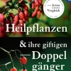 Heilpflanzen und ihre giftigen Doppelgänger.
