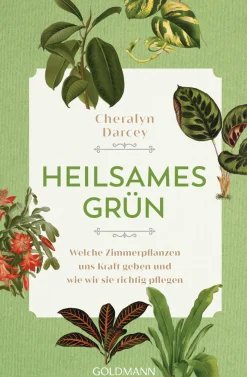 Heilsames Grün. Welche Zimmerpflanzen uns Kraft geben und wie wir sie richtig pflegen.