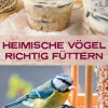 Heimische Vögel richtig füttern.