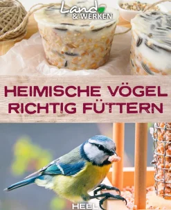 Heimische Vögel richtig füttern.
