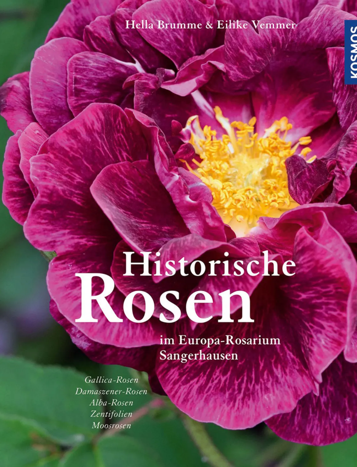 Historische Rosen im Europa-Rosarium Sangerhausen.