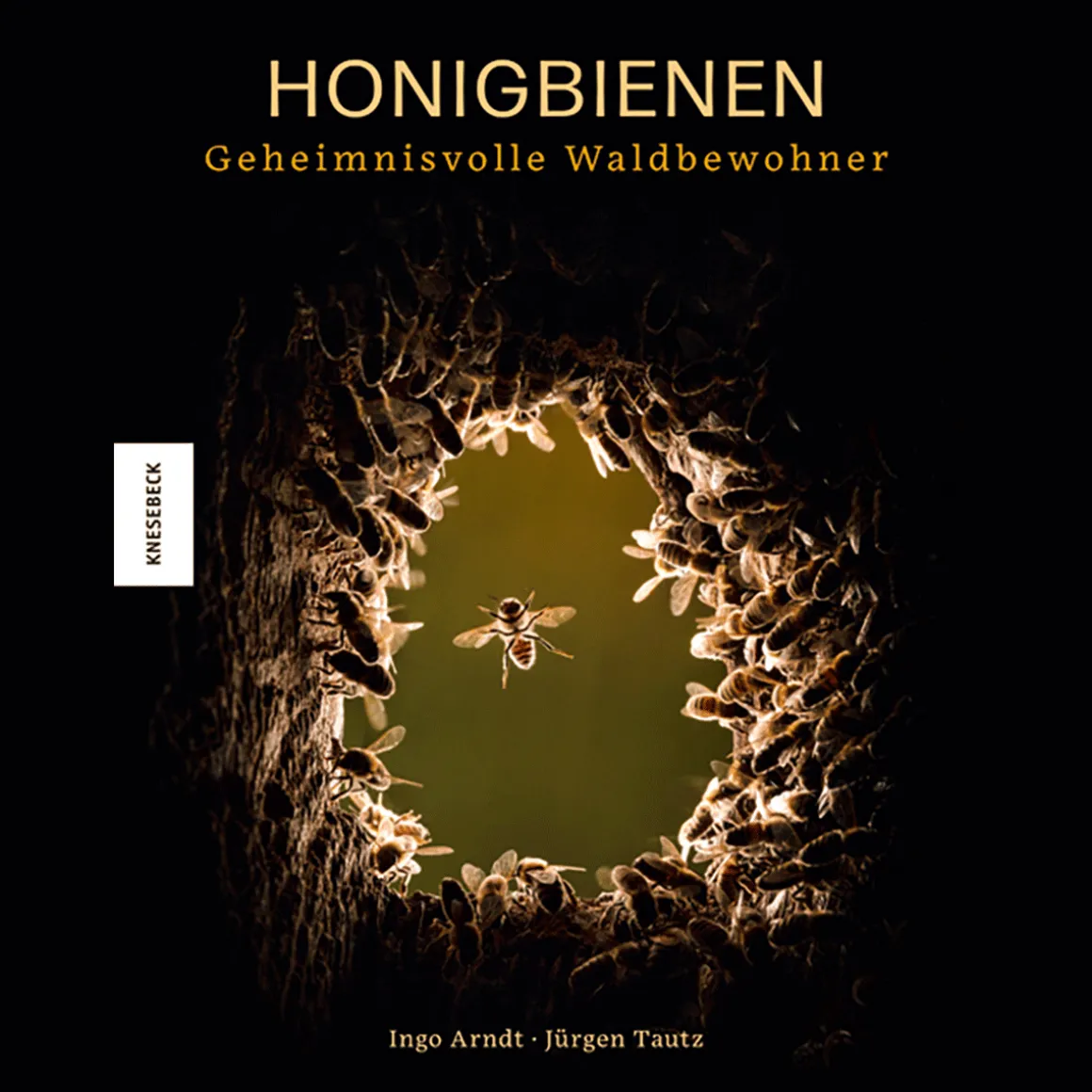 Honigbienen. Geheimnisvolle Waldbewohner.