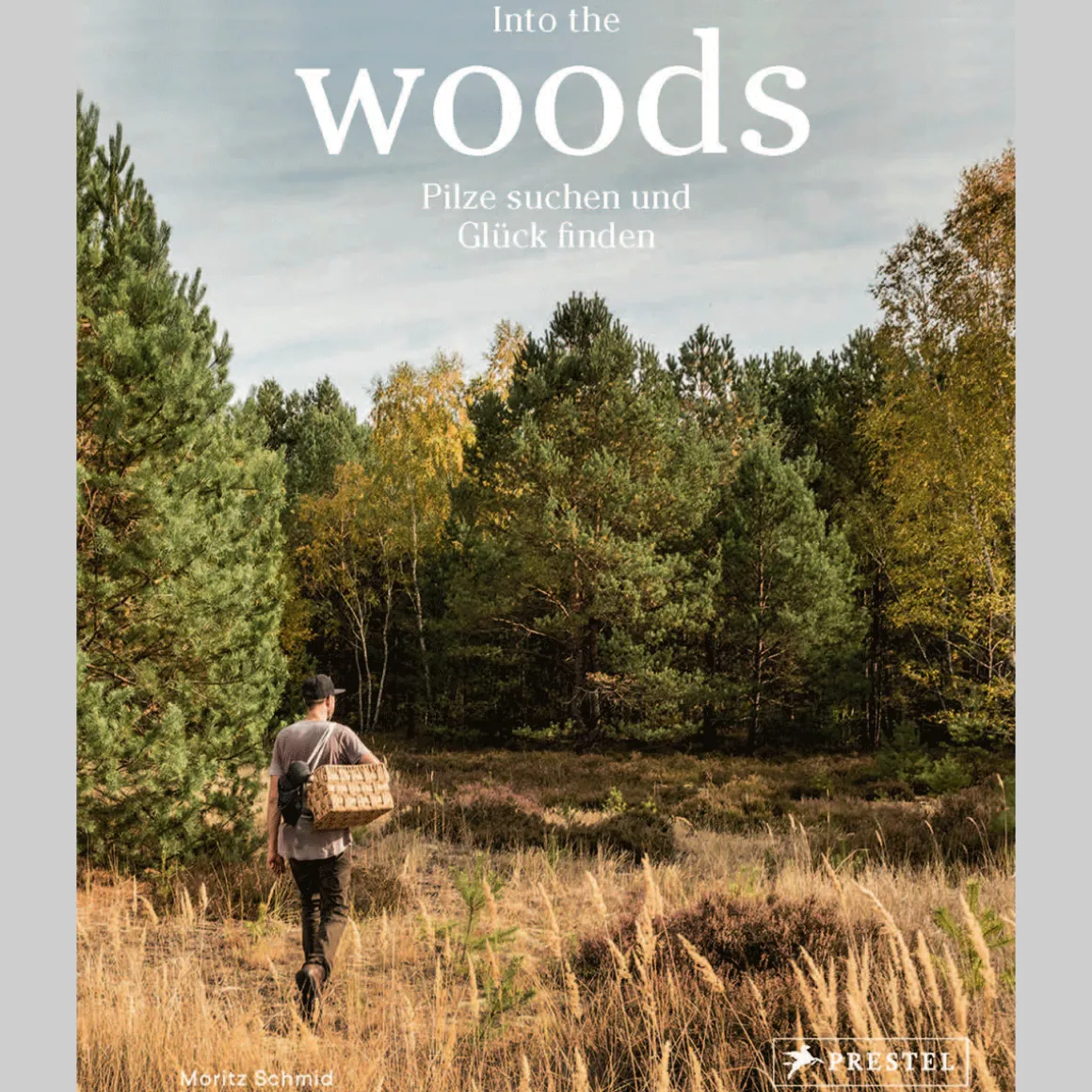 Into the Woods. Pilze suchen und Glück finden.