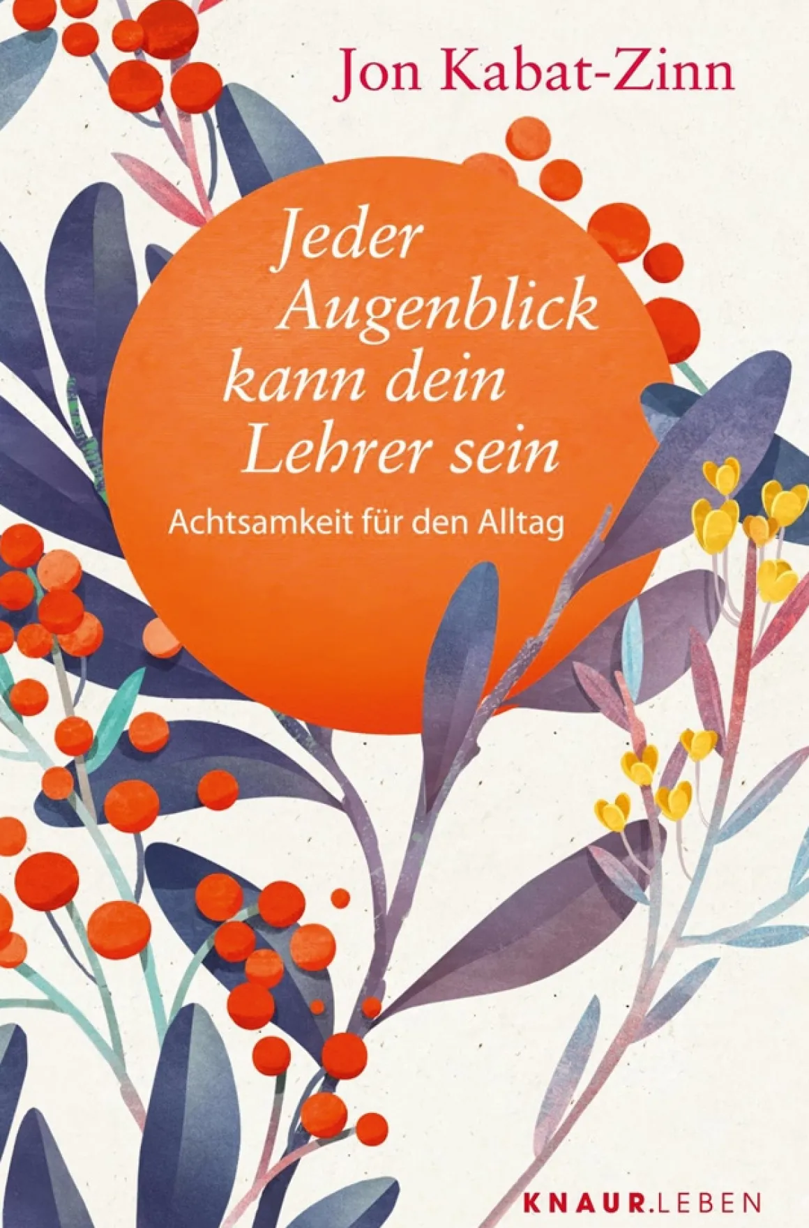 Jeder Augenblick kann dein Lehrer sein. Achtsamkeit für den Alltag.