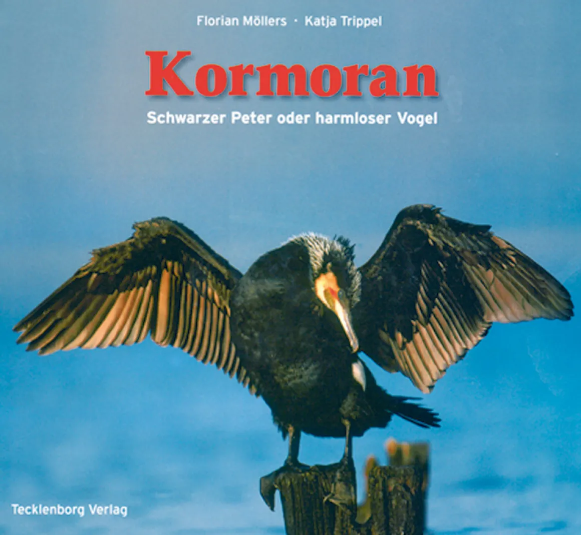 Kormoran. Schwarzer Peter oder harmloser Vogel.