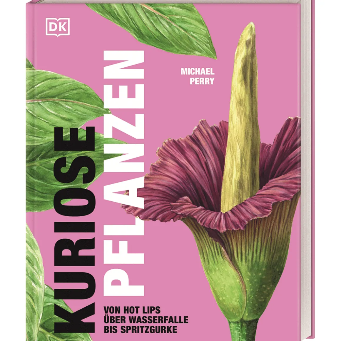 Kuriose Pflanzen. Von Hot Lips über Wasserfalle bis Spritzgurke.