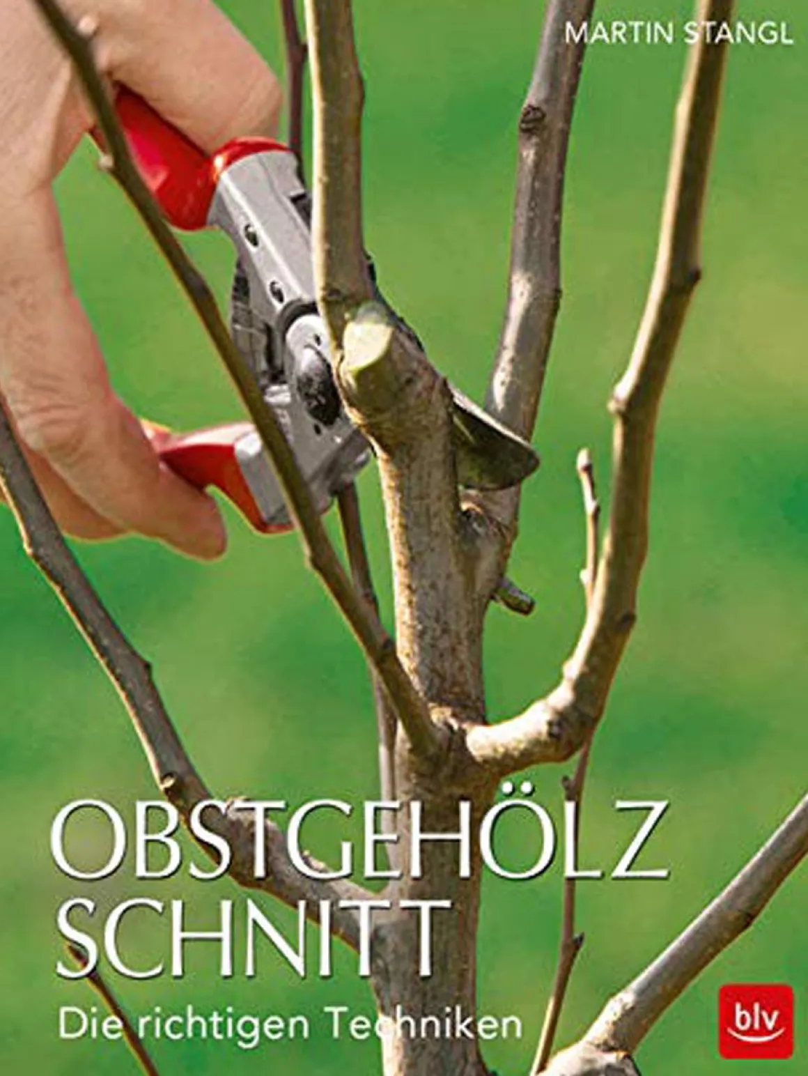 Obstgehölzschnitt.