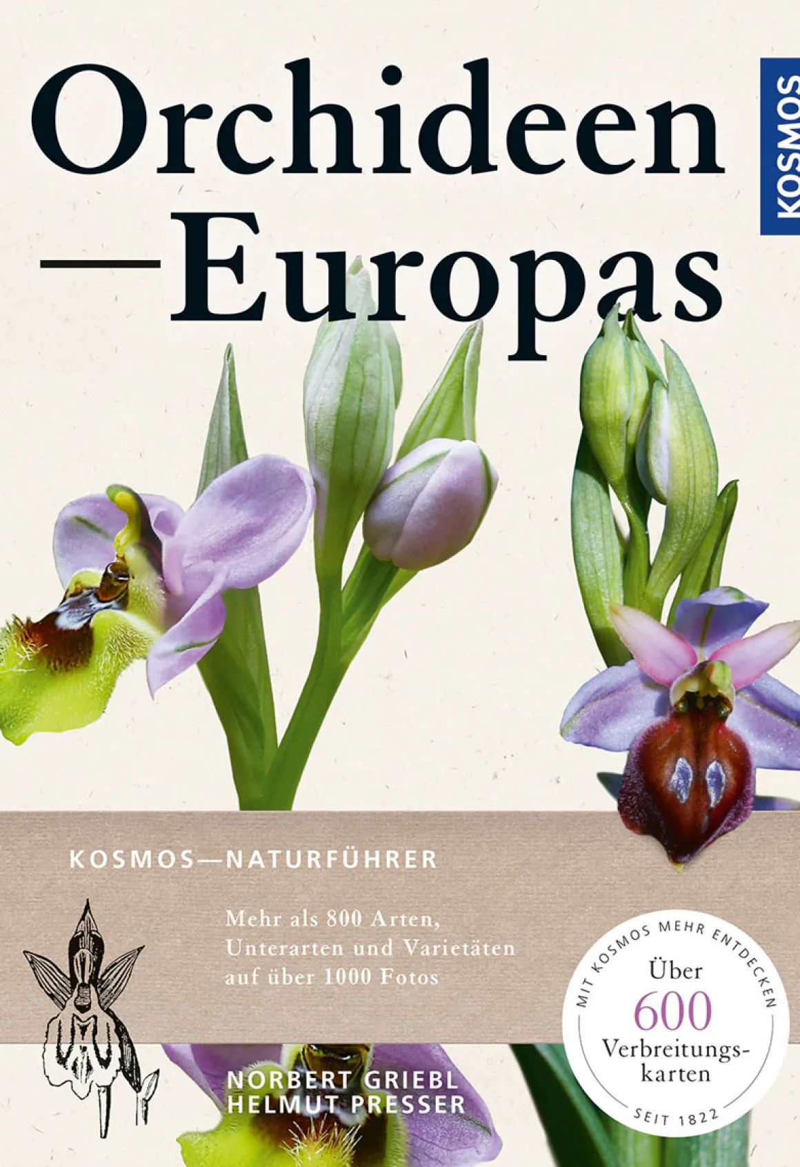 Orchideen Europas.