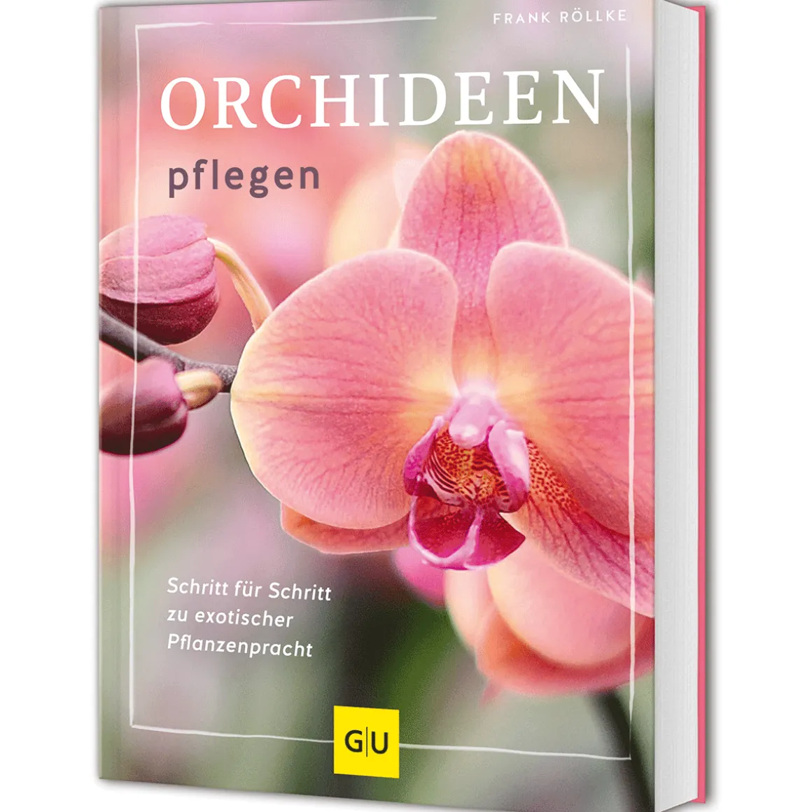 Orchideen pflegen: Schritt für Schritt zu exotischer Pflanzenpracht.