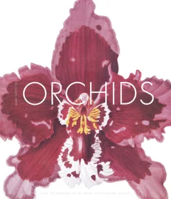 Orchids. From the Archives of the Royal Horticultural Society.