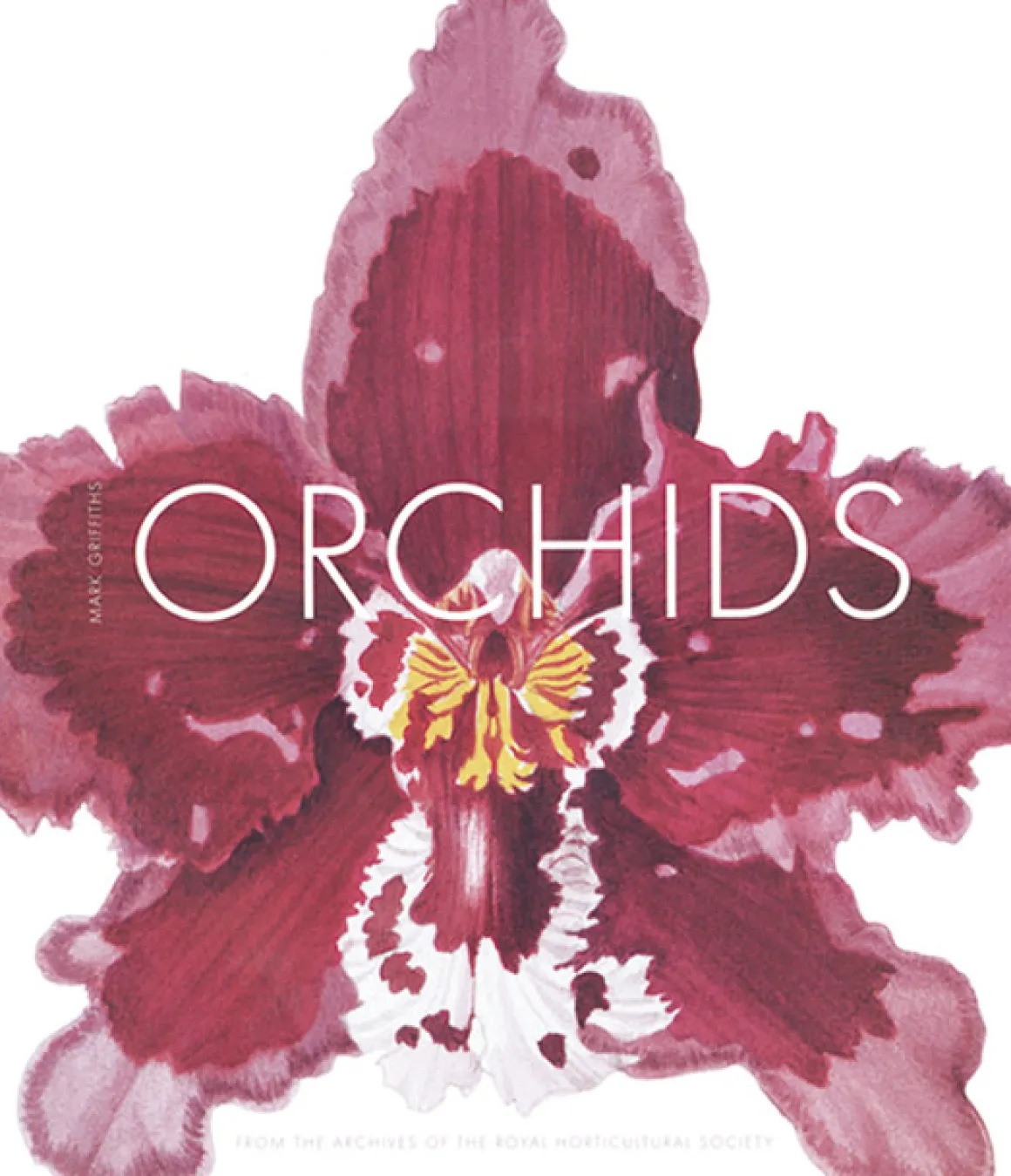 Orchids. From the Archives of the Royal Horticultural Society.